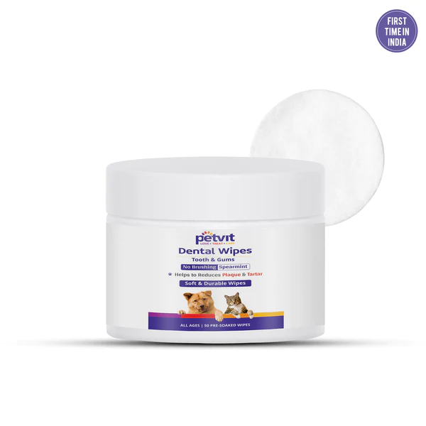 Dental Wipes 